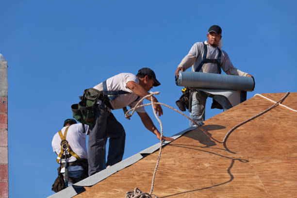 Best Storm Damage Roof Repair  in Pottsville, AR