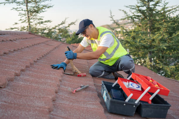 Sealant for Roof in Pottsville, AR