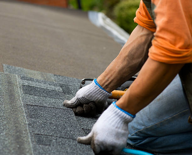 Best Roof Waterproofing Services  in Pottsville, AR