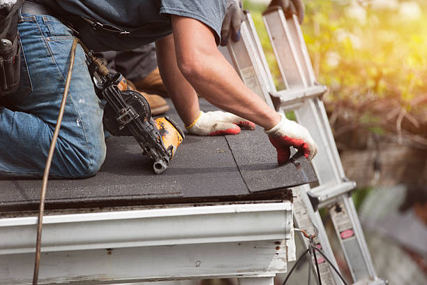 Best Gutter Installation and Roofing  in Pottsville, AR