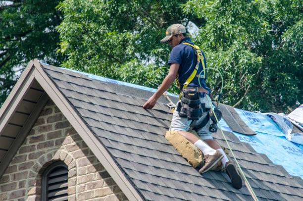 Best Metal Roofing Contractor  in Pottsville, AR