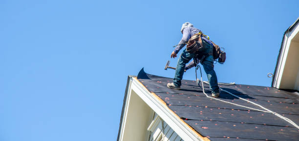 Best Roof Maintenance Services  in Pottsville, AR